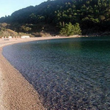 Apartments & Rooms M Petrovac Εξωτερικό φωτογραφία
