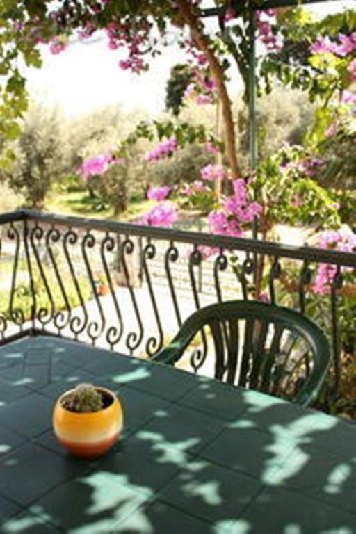 Apartments & Rooms M Petrovac Εξωτερικό φωτογραφία
