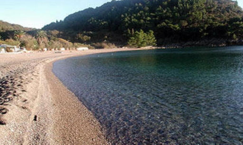 Apartments & Rooms M Petrovac Εξωτερικό φωτογραφία